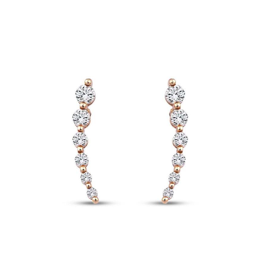 0,42 Carat Diamond Trend Earrings