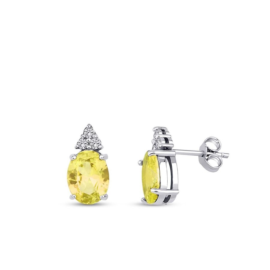3,43 Carat Diamond Fancy Earrings