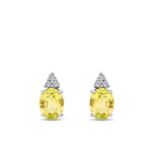 3,43 Carat Diamond Fancy Earrings