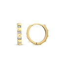 Gold Baguette Stone Hoop Earring