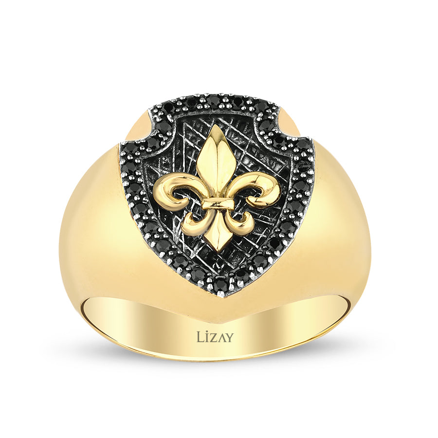 Gold Stone Men’s Ring