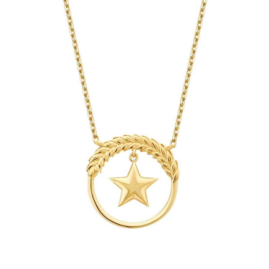 Gold Star Trend Necklace