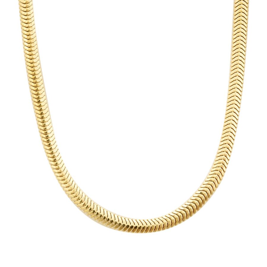 Gold Snake Fine Chain Necklace