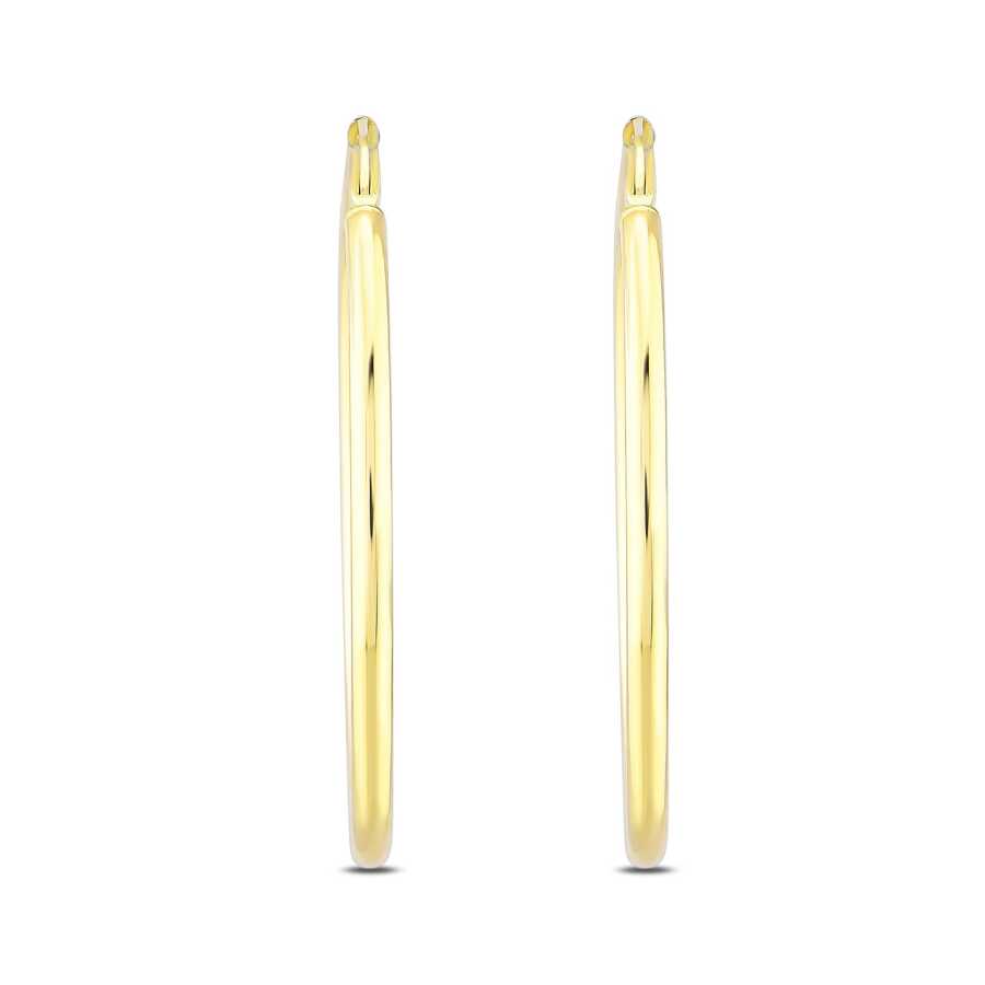 Gold Hoop Earrings