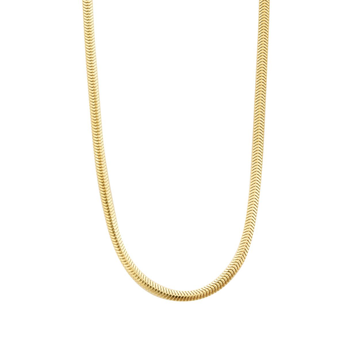 Gold Snake Fine Chain Necklace
