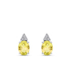 3.43 Carat Diamond Fancy Earrings