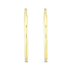 Gold Hoop Earrings