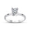 8 Carat